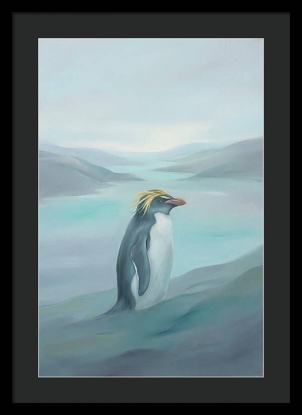 Macaroni Penguin Majesty