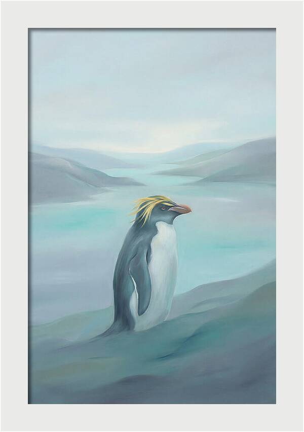 Macaroni Penguin Majesty