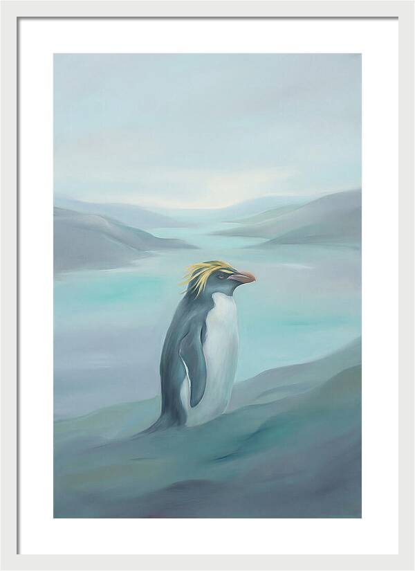 Macaroni Penguin Majesty