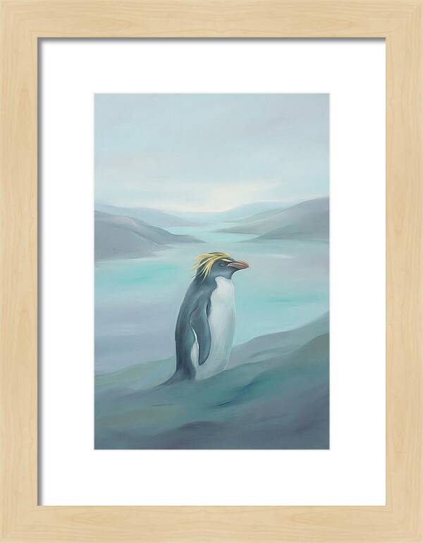 Macaroni Penguin Majesty