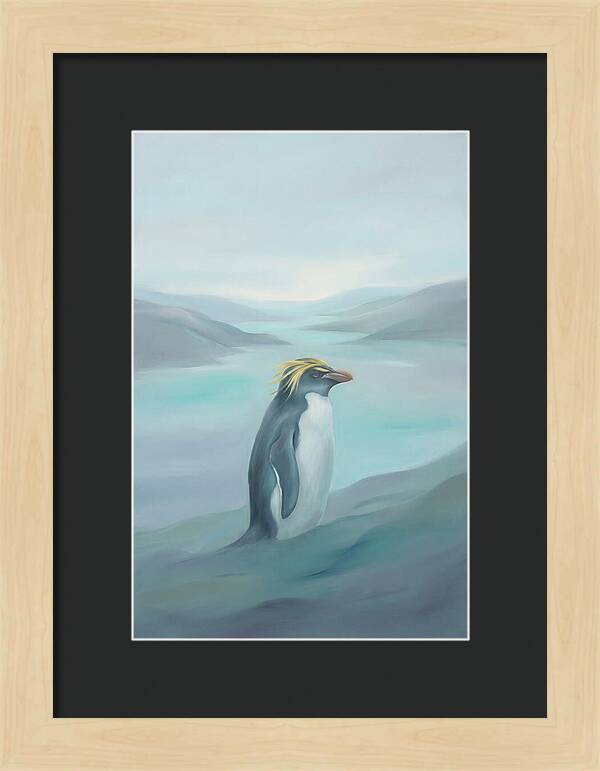 Macaroni Penguin Majesty