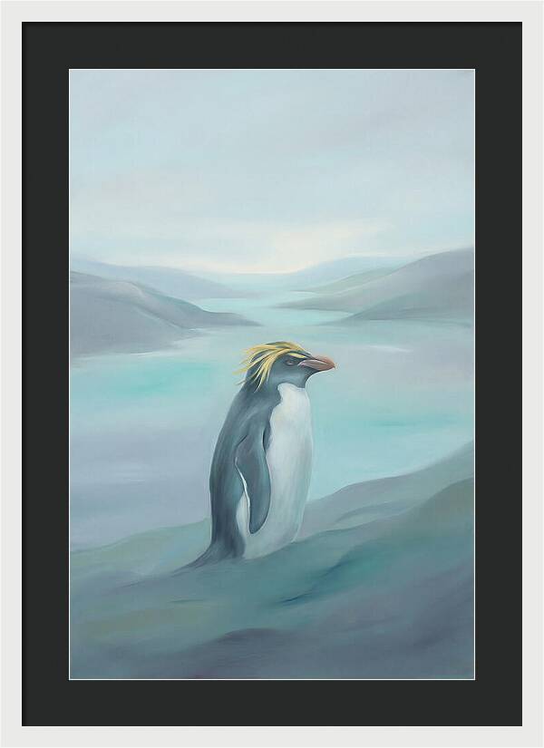 Macaroni Penguin Majesty