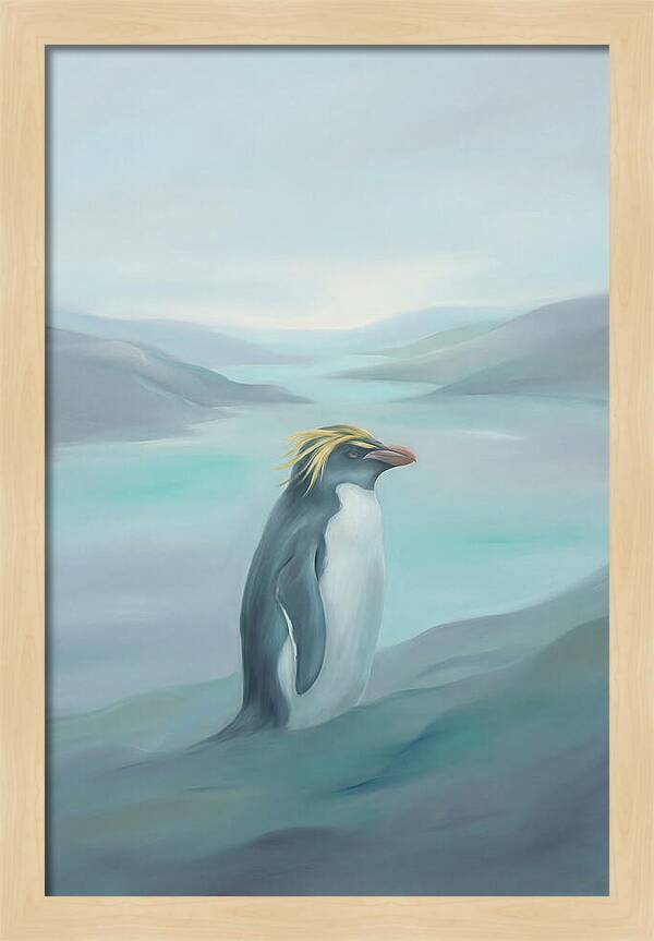 Macaroni Penguin Majesty