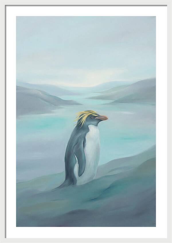 Macaroni Penguin Majesty
