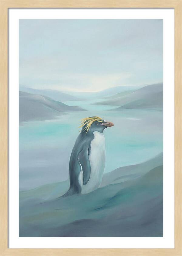 Macaroni Penguin Majesty