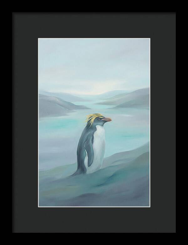 Macaroni Penguin Majesty