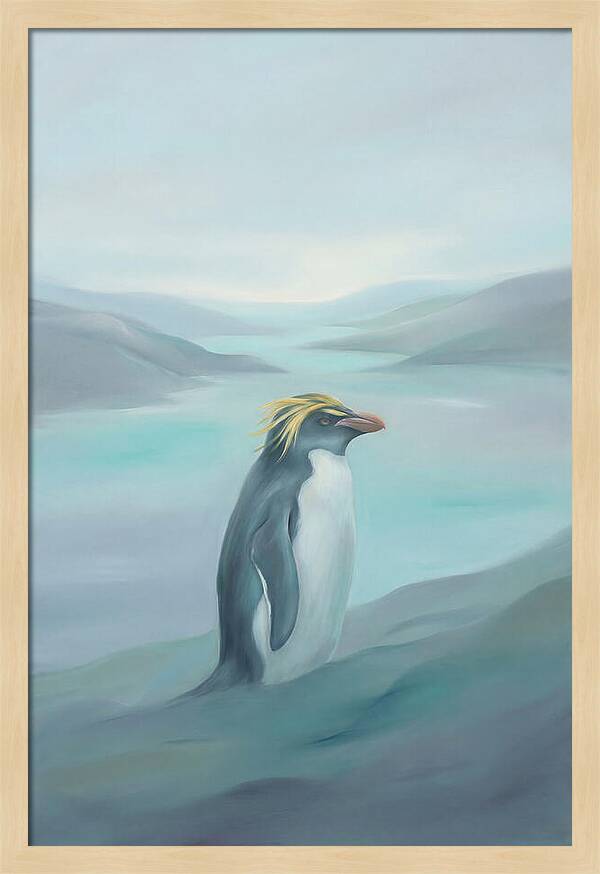 Macaroni Penguin Majesty