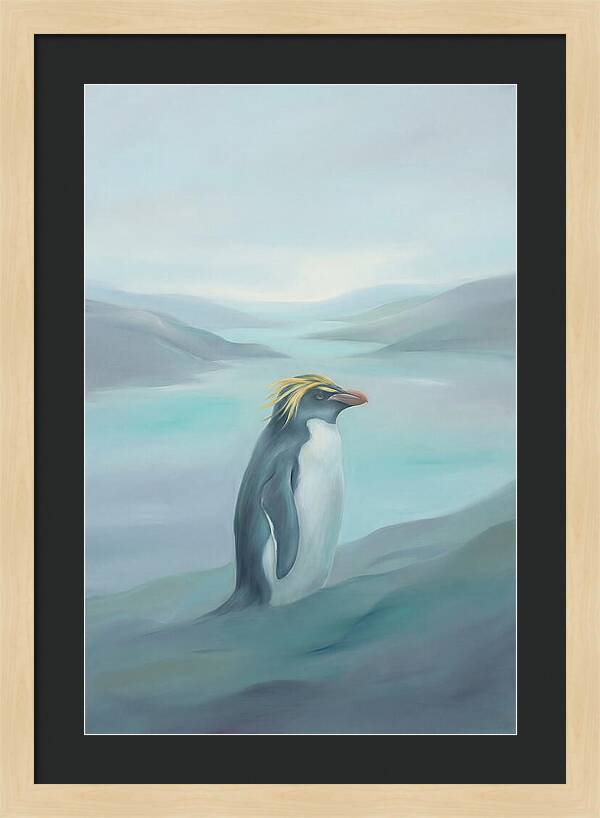 Macaroni Penguin Majesty