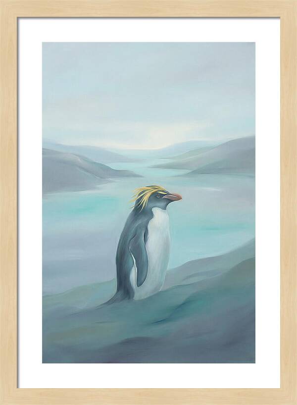 Macaroni Penguin Majesty