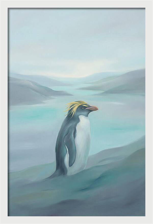 Macaroni Penguin Majesty