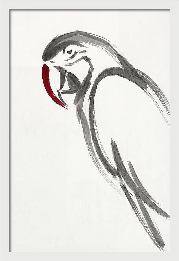 Macaw In Minimalist Style