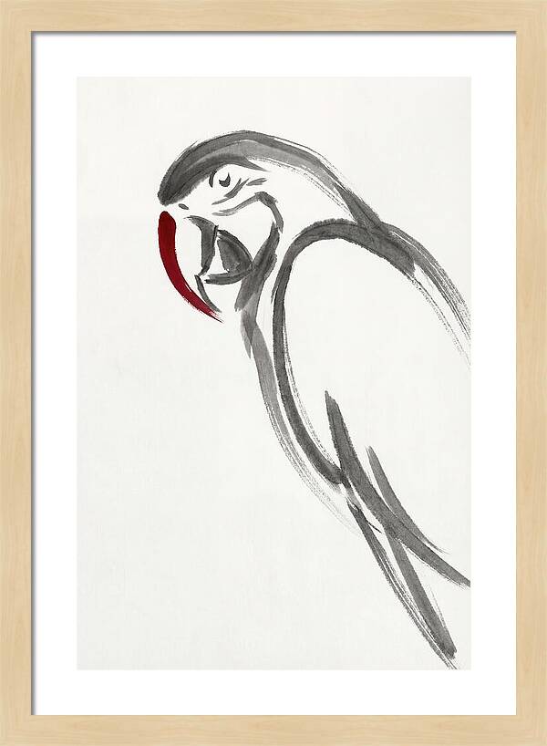 Macaw In Minimalist Style