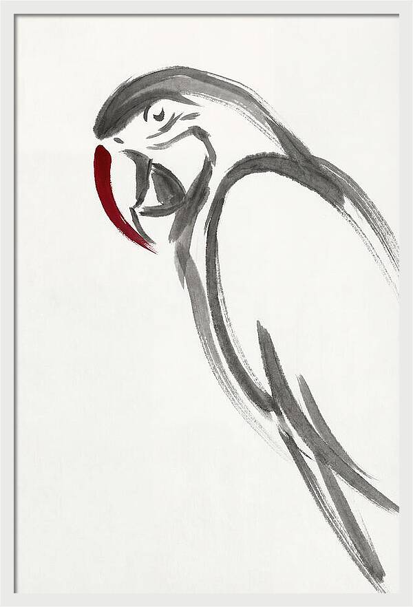 Macaw In Minimalist Style