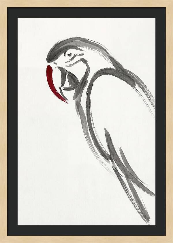 Macaw In Minimalist Style