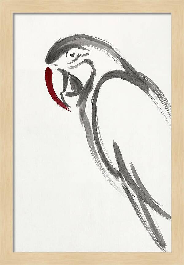 Macaw In Minimalist Style