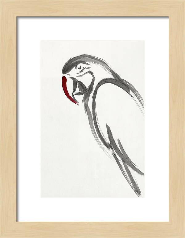 Macaw In Minimalist Style