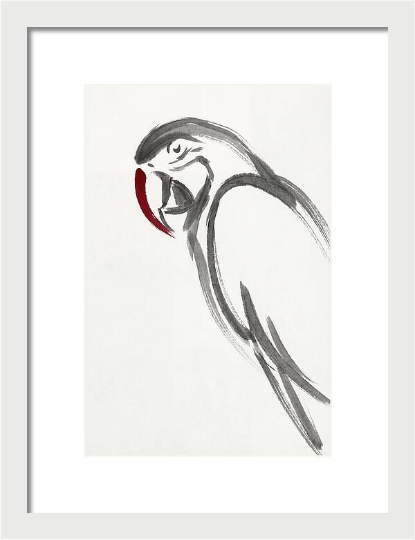 Macaw In Minimalist Style