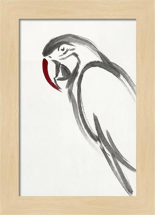 Macaw In Minimalist Style