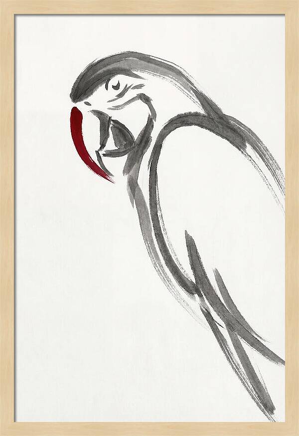Macaw In Minimalist Style