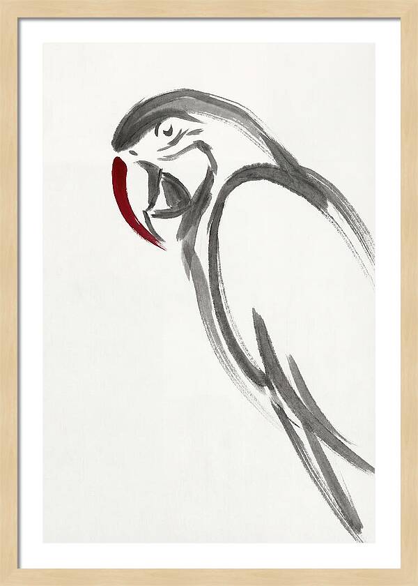 Macaw In Minimalist Style