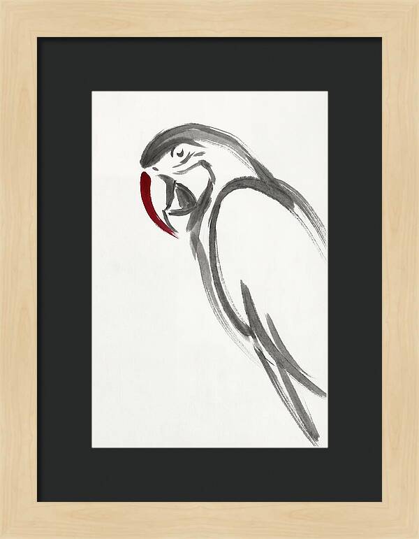 Macaw In Minimalist Style