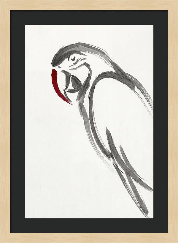 Macaw In Minimalist Style