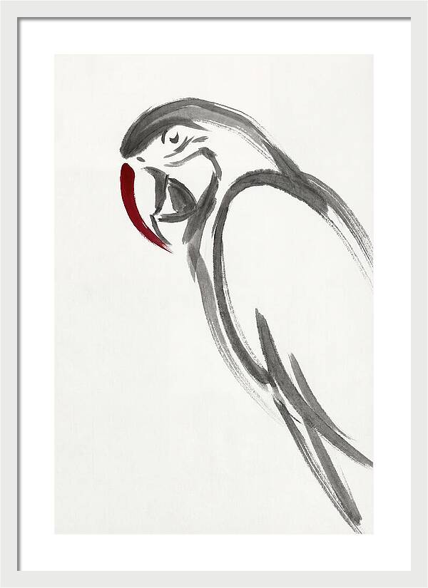Macaw In Minimalist Style