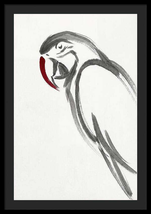 Macaw In Minimalist Style