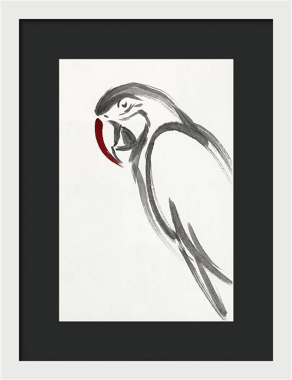 Macaw In Minimalist Style