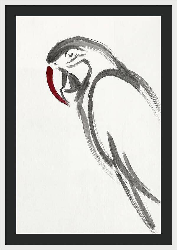 Macaw In Minimalist Style