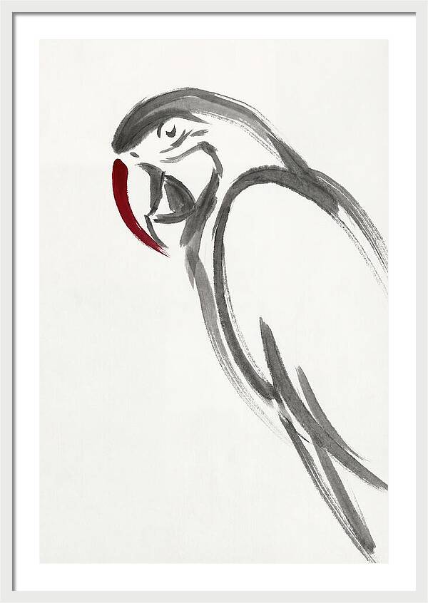 Macaw In Minimalist Style