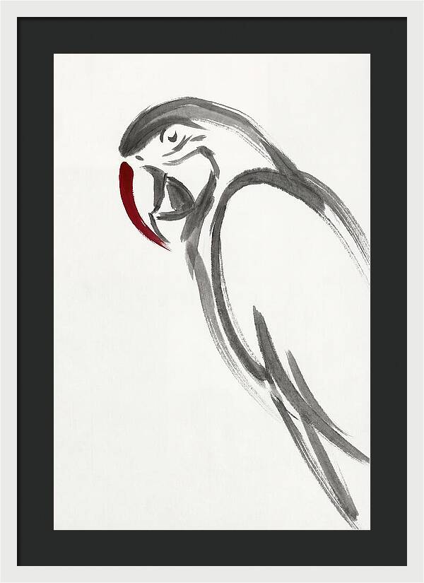 Macaw In Minimalist Style