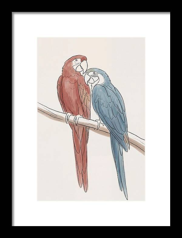 Macaw Pair In Vivid Colors