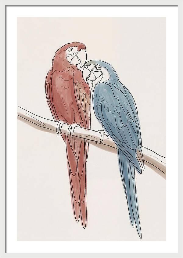 Macaw Pair In Vivid Colors