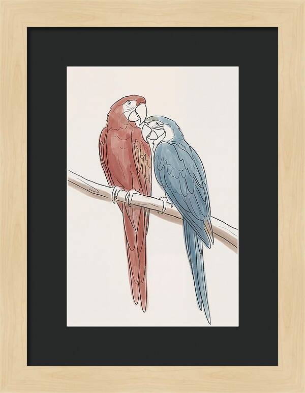 Macaw Pair In Vivid Colors
