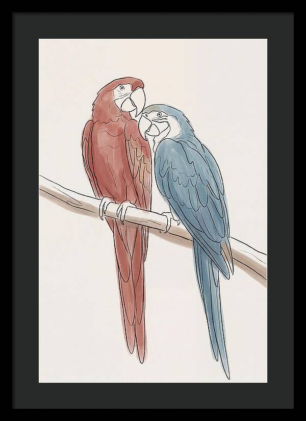 Macaw Pair In Vivid Colors