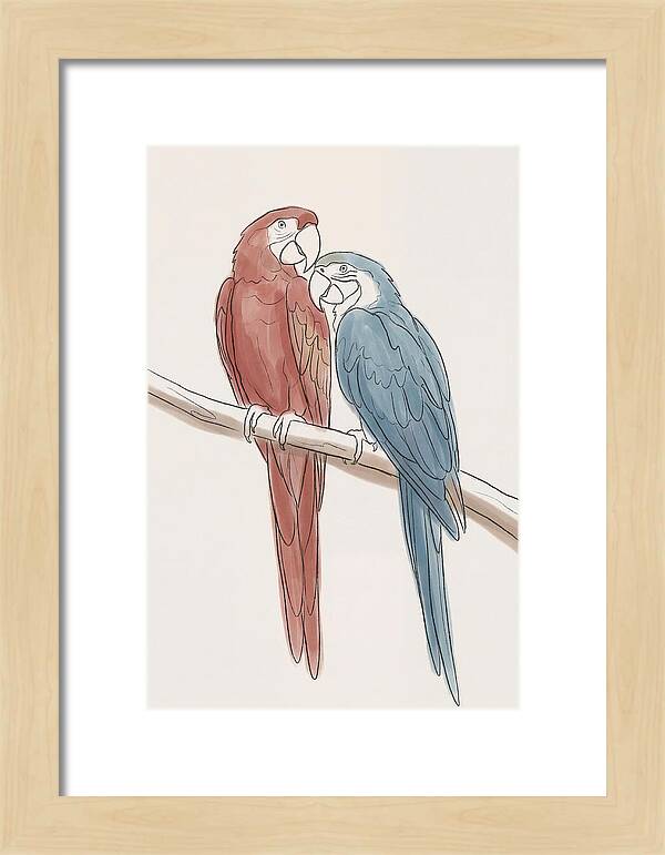 Macaw Pair In Vivid Colors