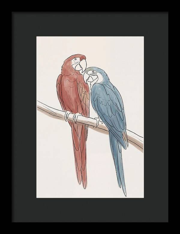 Macaw Pair In Vivid Colors