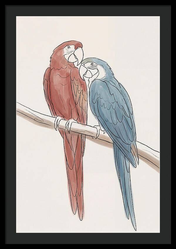Macaw Pair In Vivid Colors