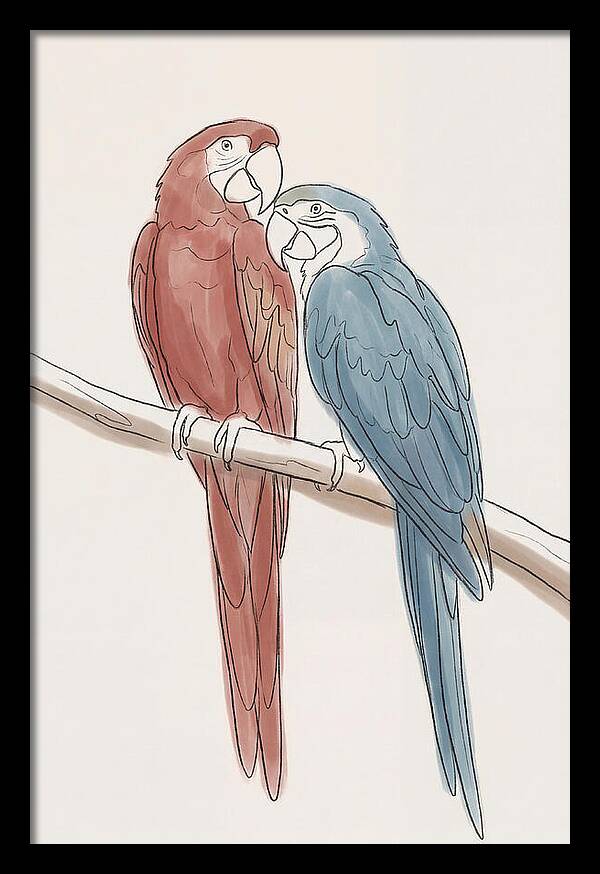Macaw Pair In Vivid Colors