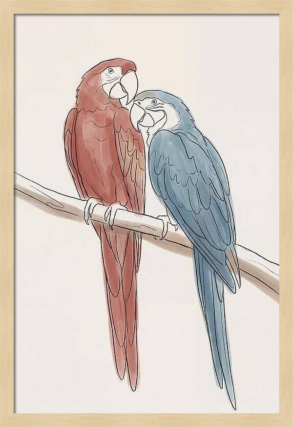 Macaw Pair In Vivid Colors