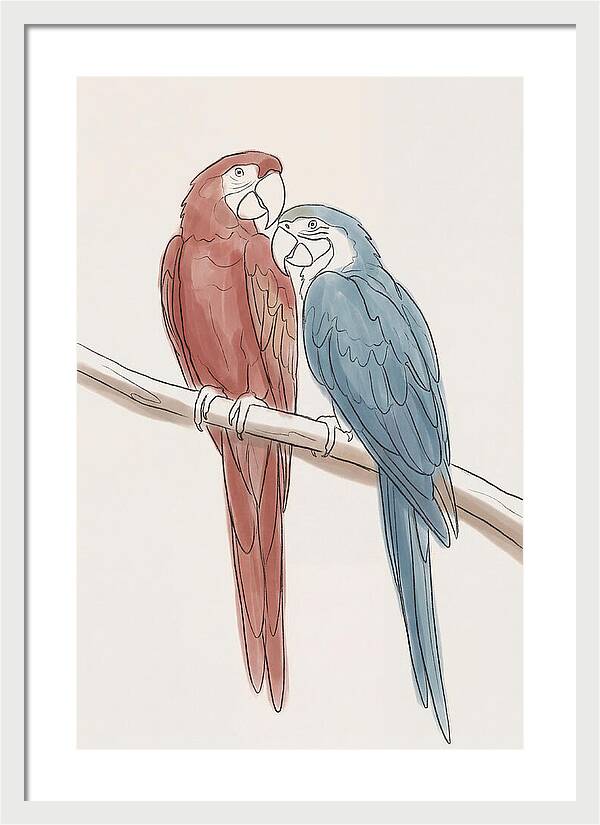 Macaw Pair In Vivid Colors