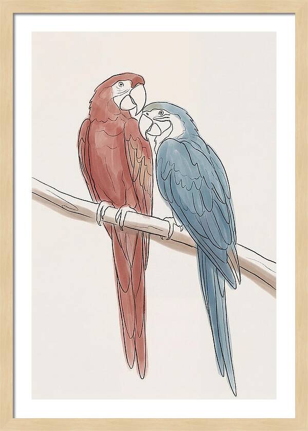 Macaw Pair In Vivid Colors