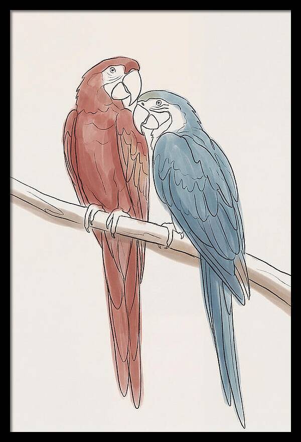 Macaw Pair In Vivid Colors