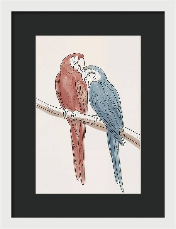 Macaw Pair In Vivid Colors