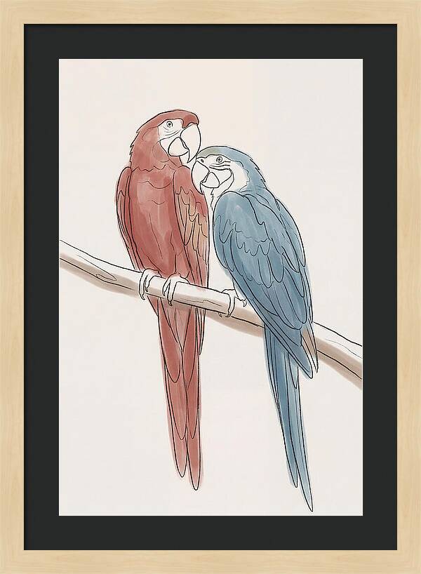 Macaw Pair In Vivid Colors