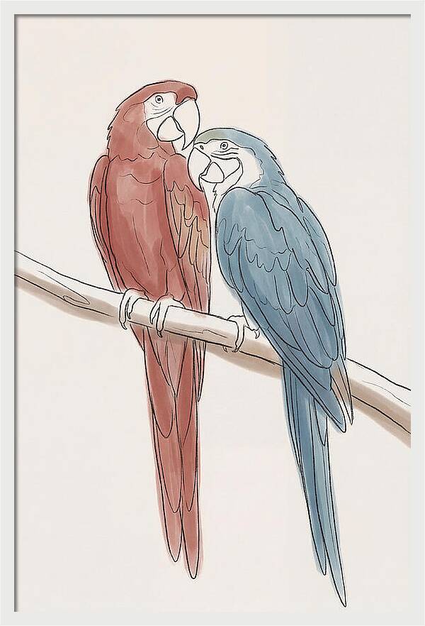 Macaw Pair In Vivid Colors