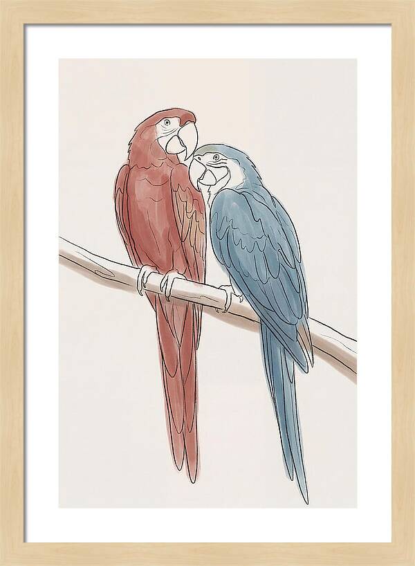 Macaw Pair In Vivid Colors