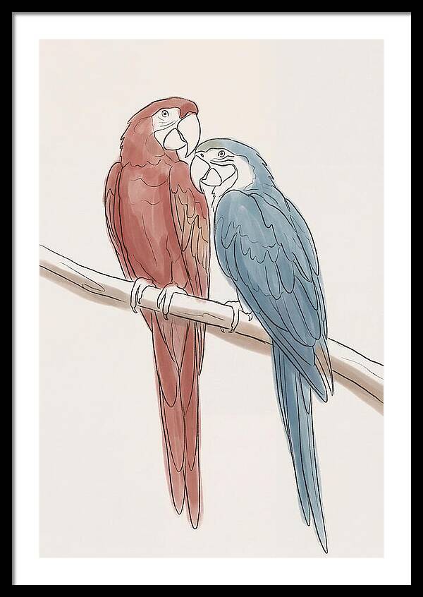 Macaw Pair In Vivid Colors