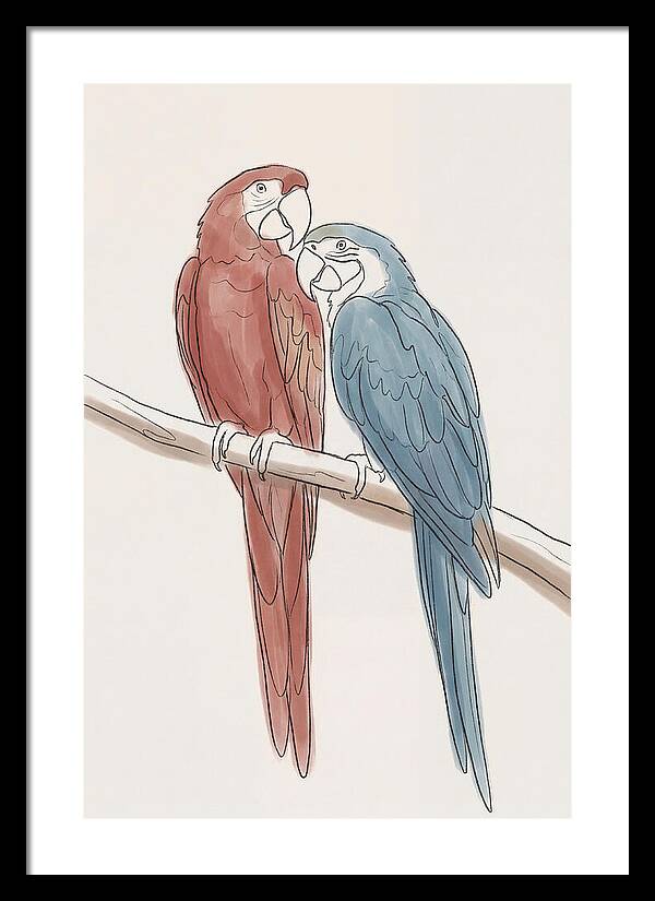Macaw Pair In Vivid Colors